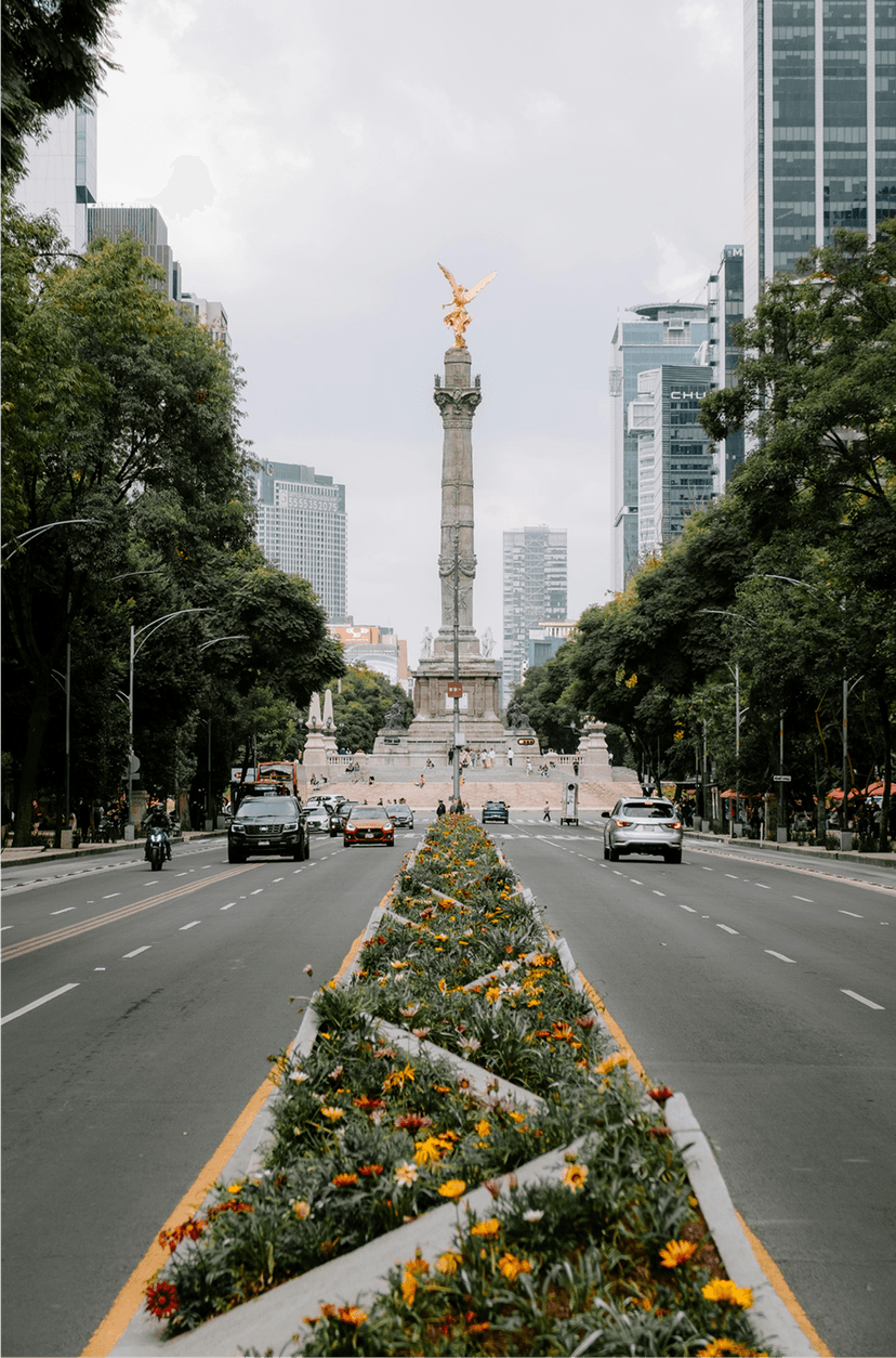 Mobile app interface